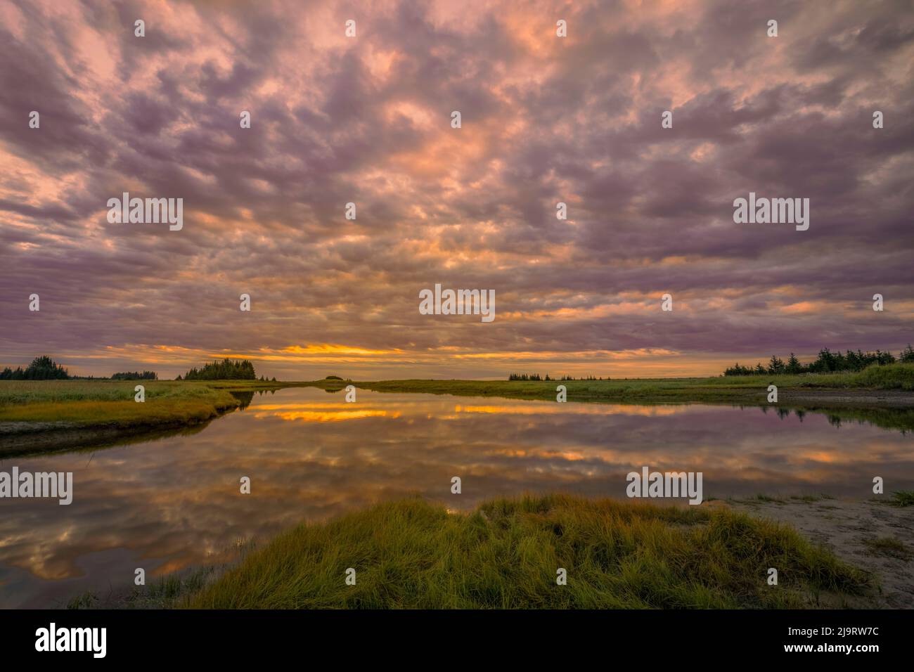 Sunrise on slough of Silver Salmon Creek, Lake Clark National Park and