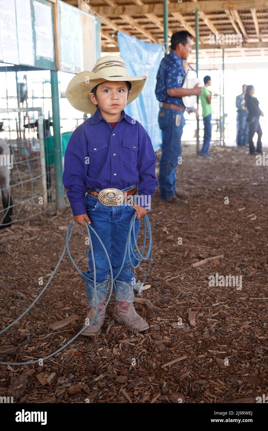 Group of men wearing cowboy clothes, … – License image – 70003167