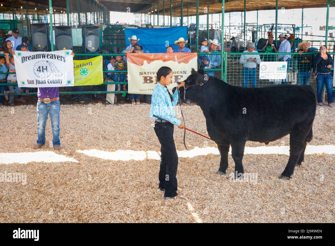 Livestock auction usa hires stock photography and images Alamy