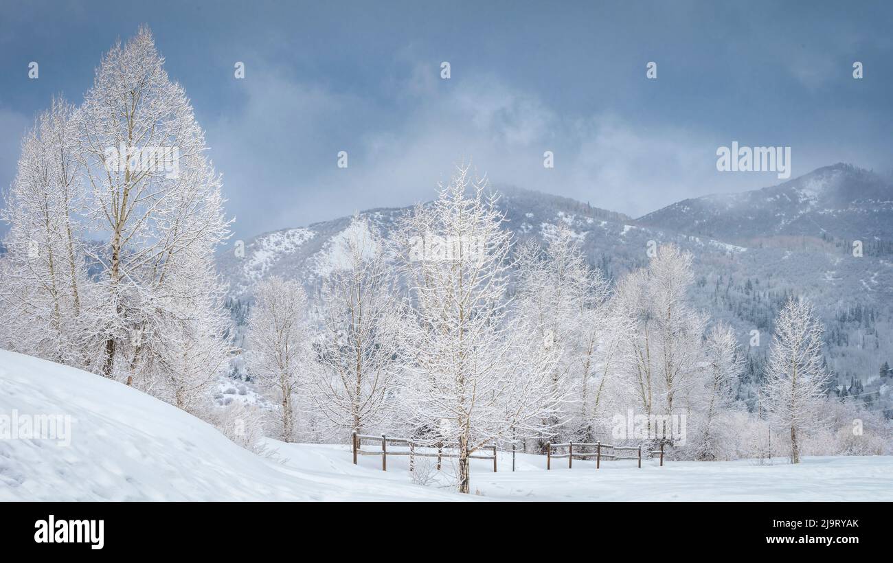 Rf springs hi-res stock photography and images - Alamy