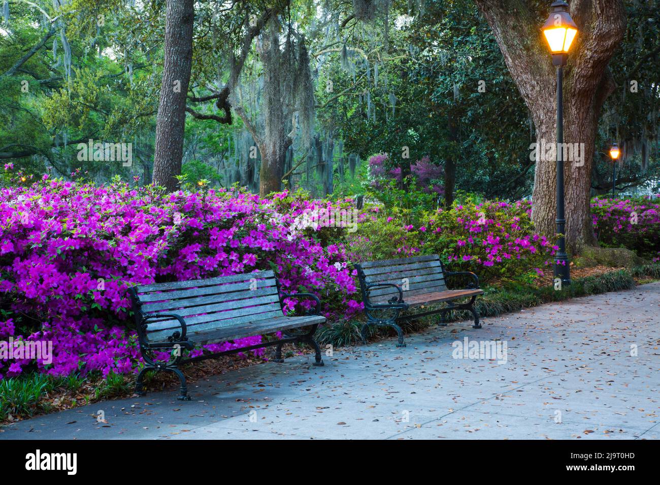 Forsyth park savannah georgia spring hi-res stock photography and ...