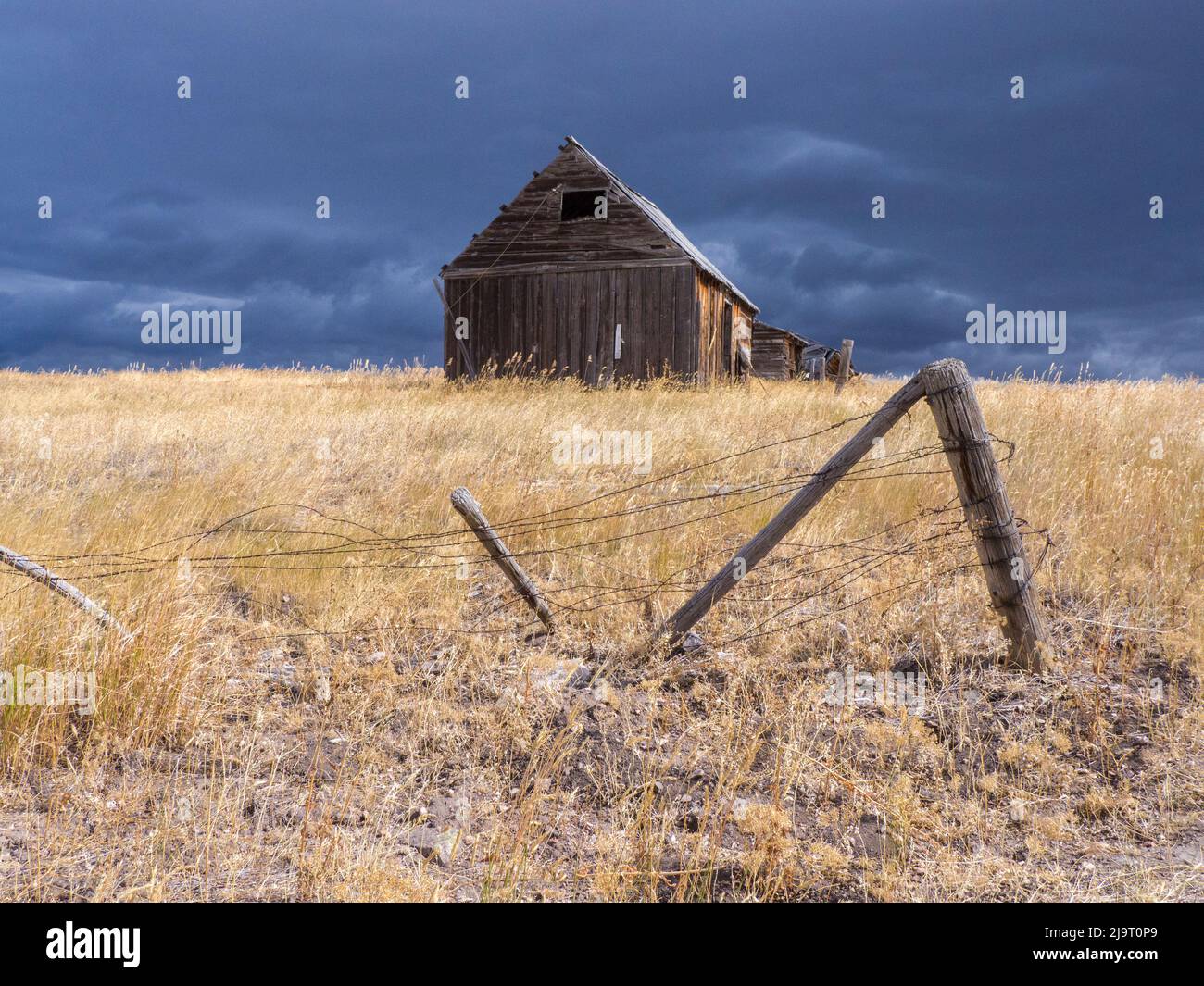 USA, Idaho. Old homestead in a field with dark stormy skies overhead