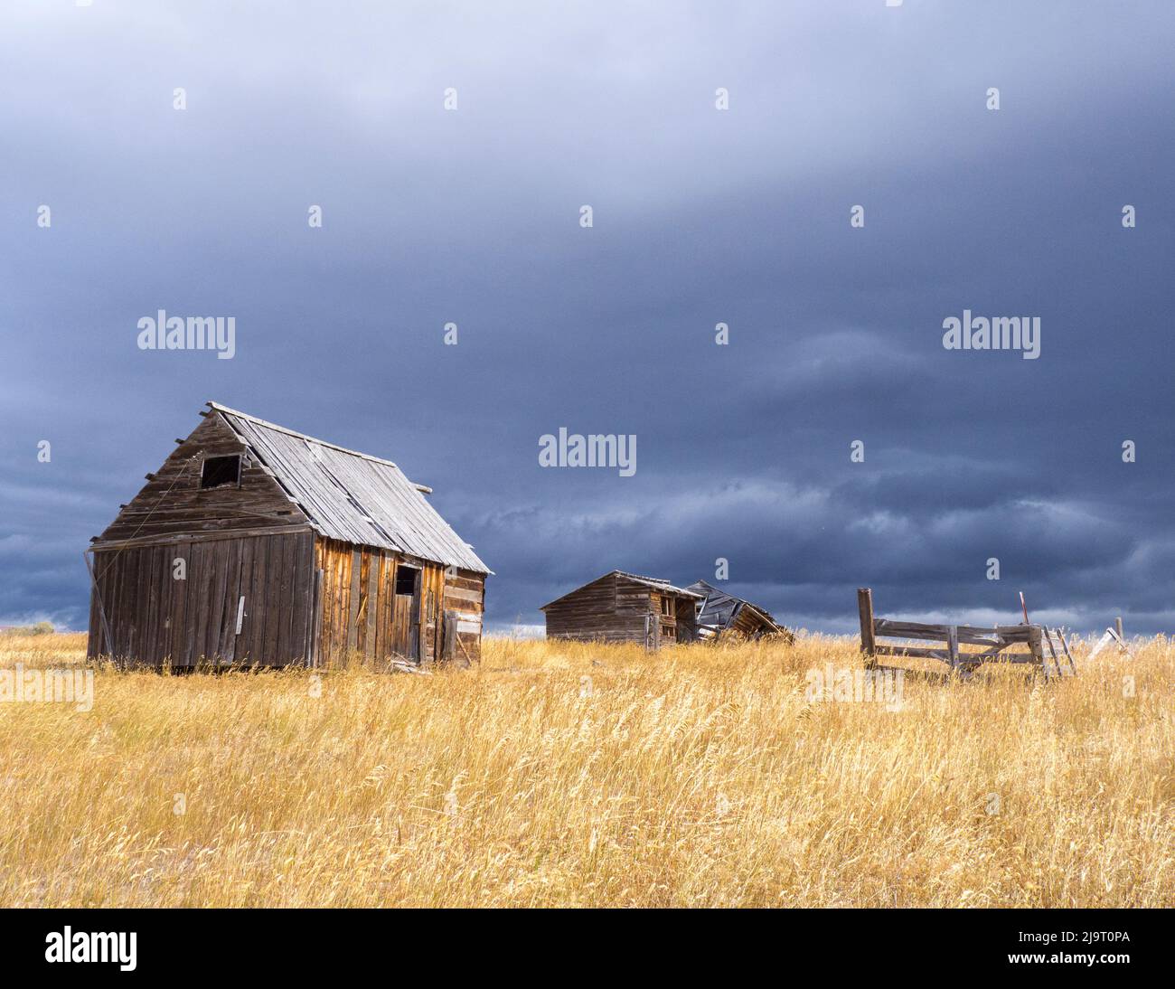 USA, Idaho. Old homestead in a field with dark stormy skies overhead