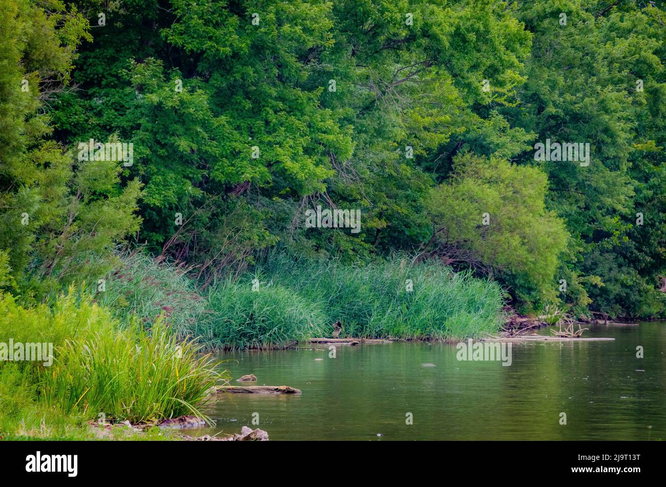 Lake's edge, Whitewater Memorial State Park, Indiana, USA Stock Photo