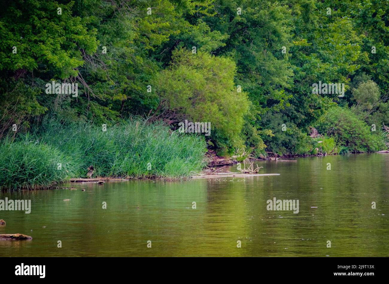 Lake's edge, Whitewater Memorial State Park, Indiana, USA Stock Photo Alamy