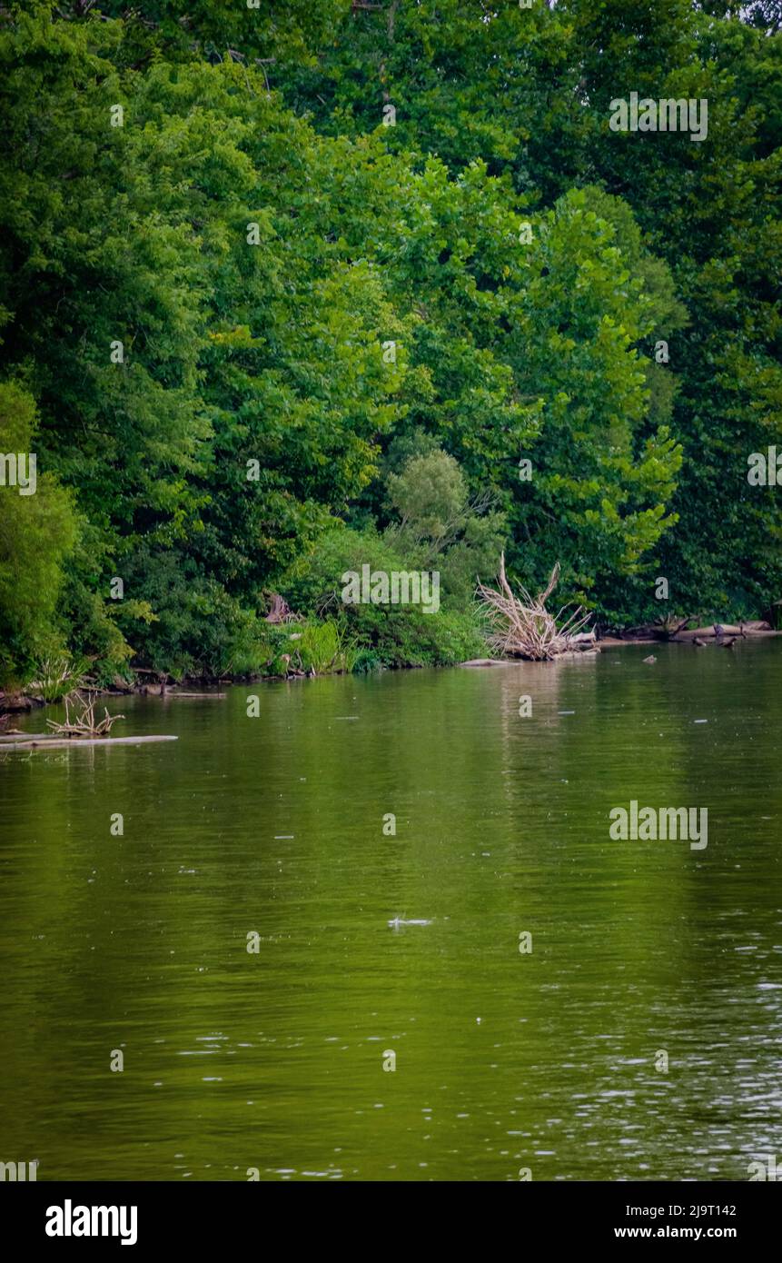 Lake's edge, Whitewater Memorial State Park, Indiana, USA Stock Photo