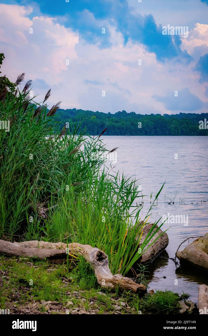 Whitewater Lake, Whitewater Memorial State Park, Indiana, USA Stock