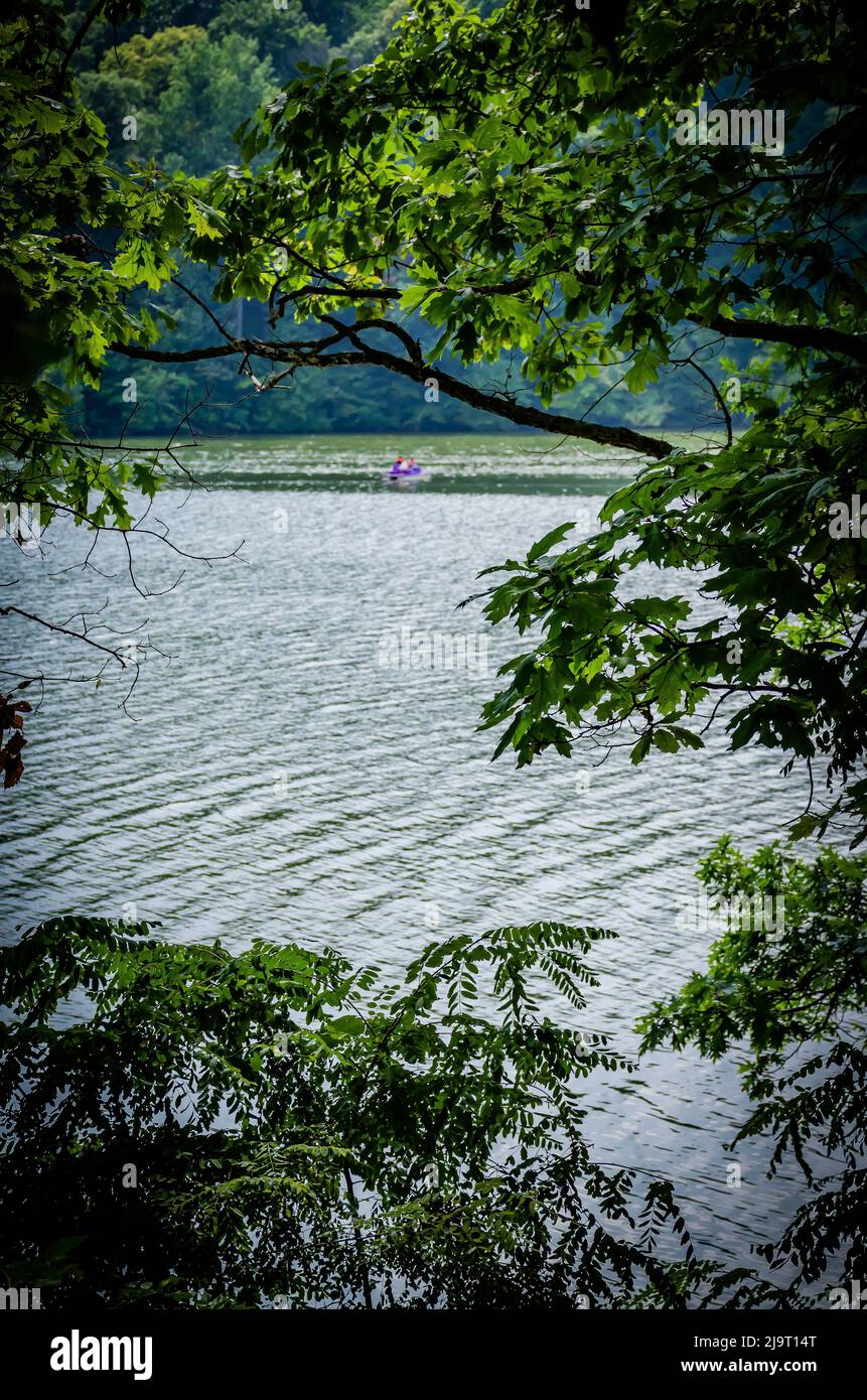 Whitewater Lake through the trees, Whitewater Memorial State Park