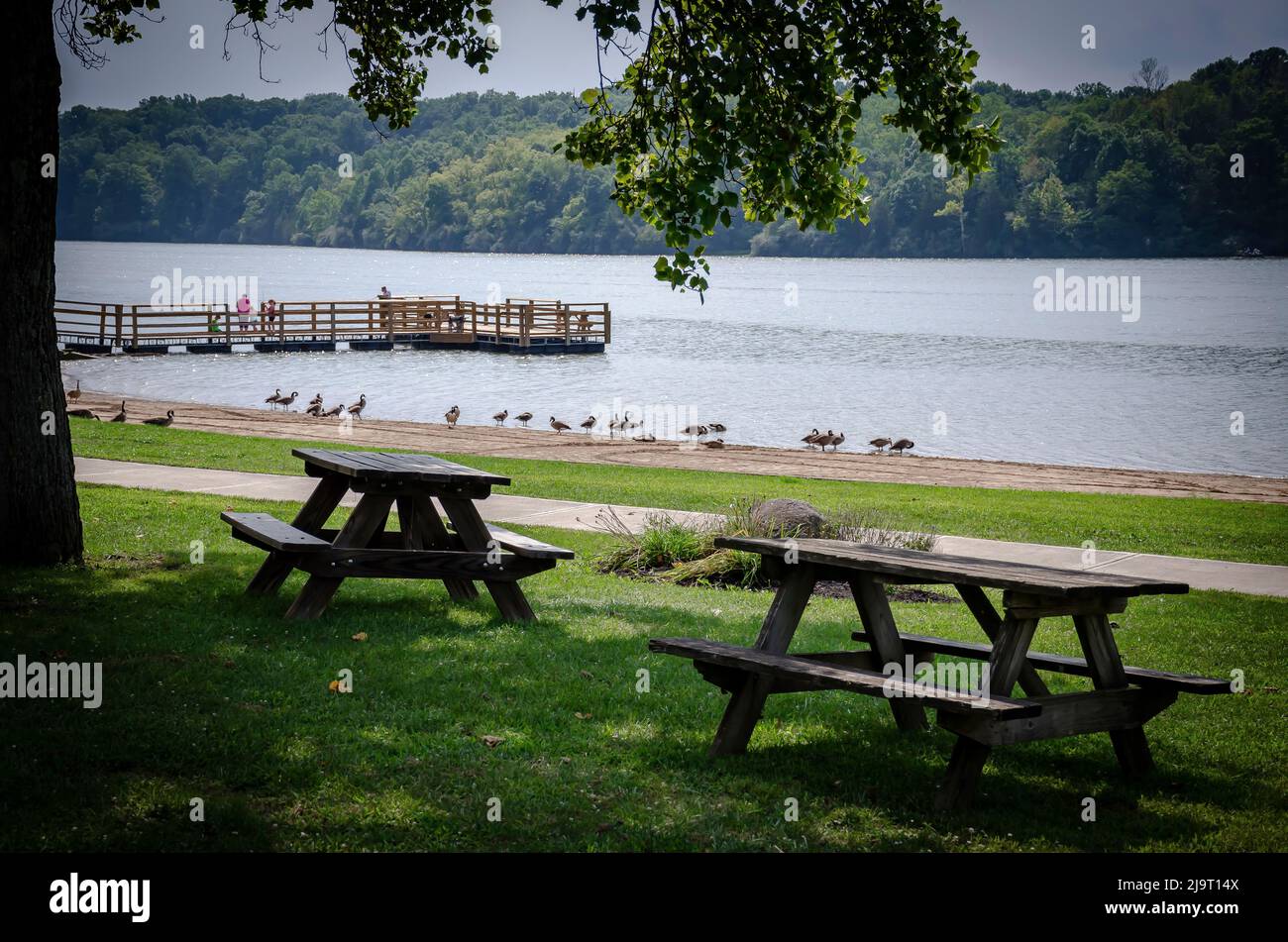 Brookville Lake Beach, Whitewater Memorial State Park, Indiana, USA
