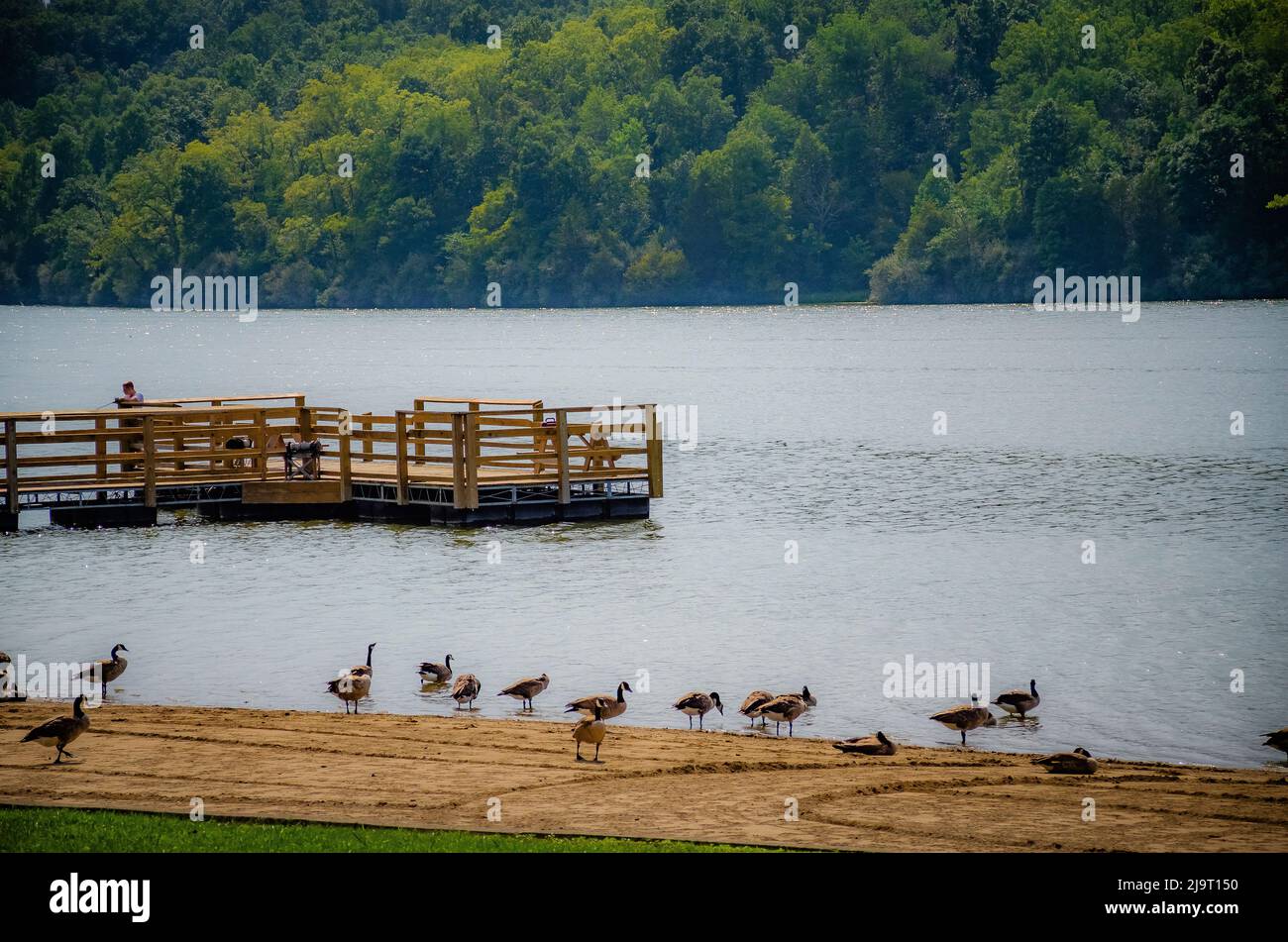 Brookville Lake Beach, Whitewater Memorial State Park, Indiana, USA