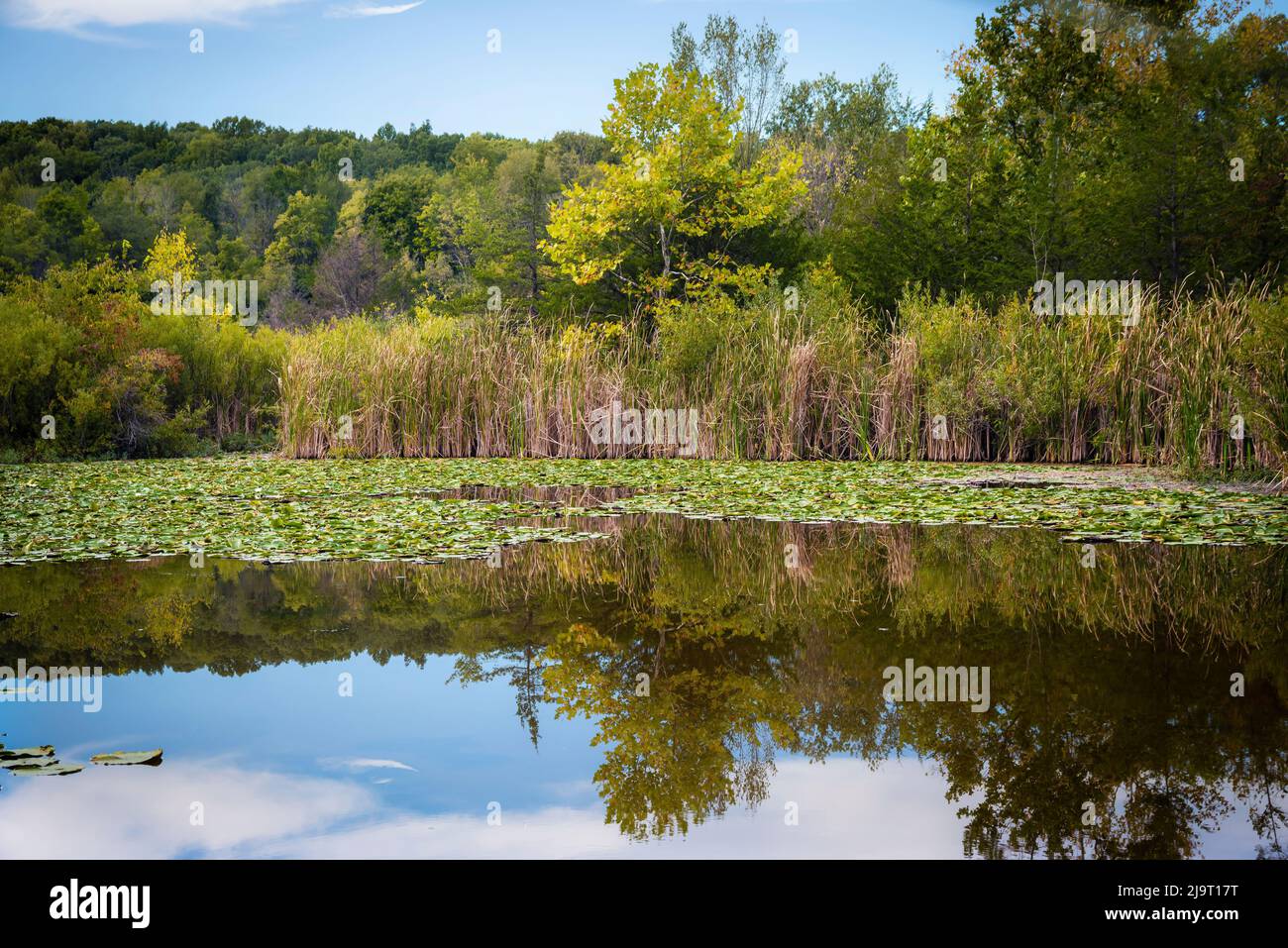 France park indiana hi-res stock photography and images - Alamy