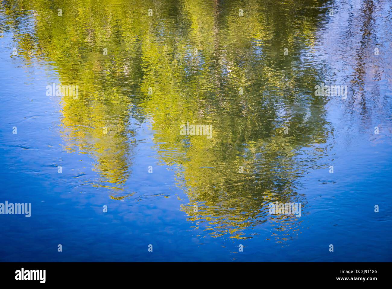 Tippecanoe River reflections, Tippecanoe State Park, Indiana, USA Stock