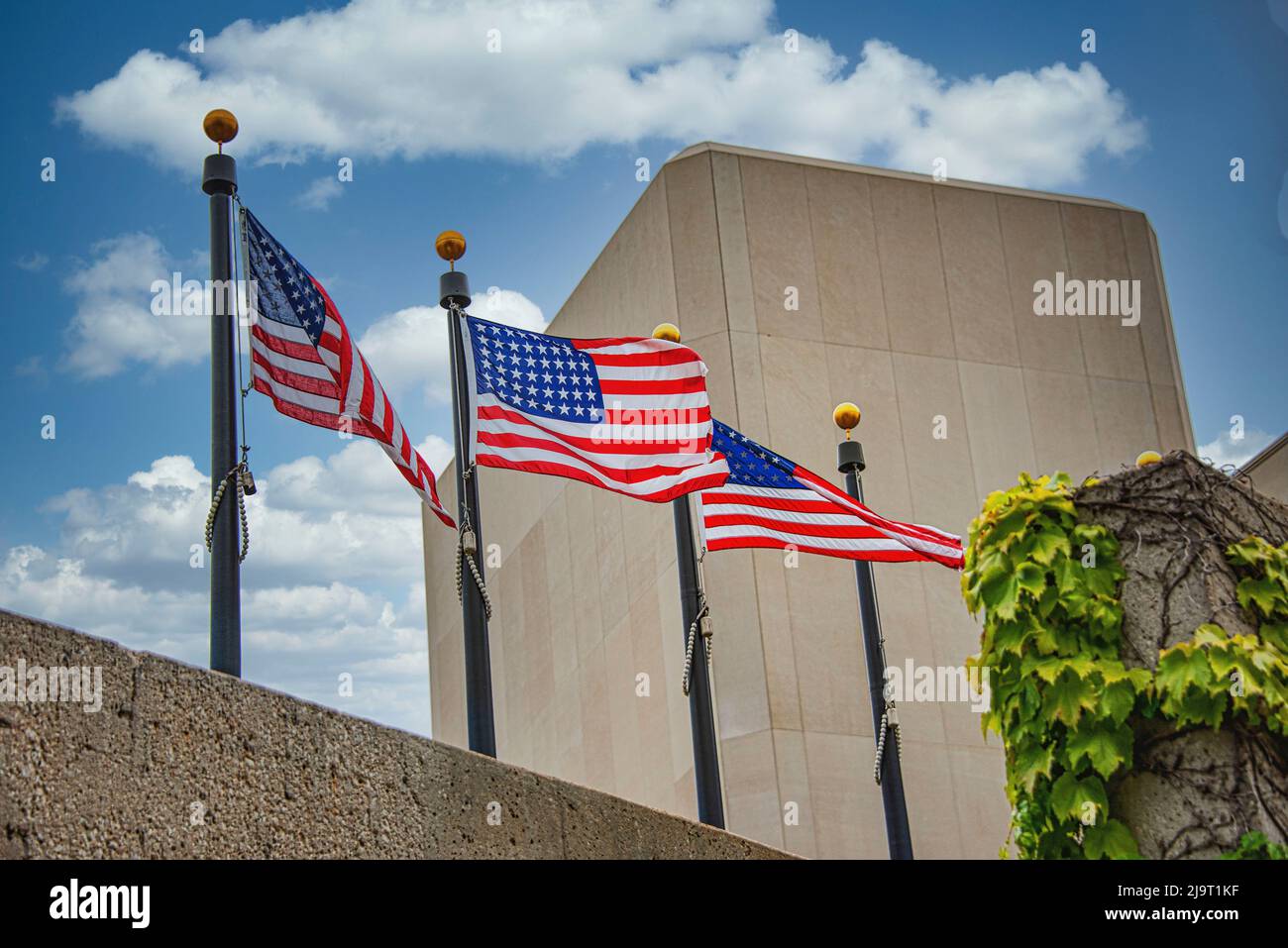 United States of America flags flying Stock Photo - Alamy