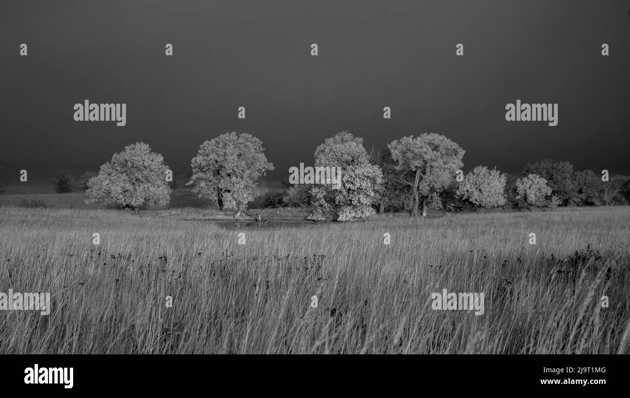 Flint pond Black and White Stock Photos & Images - Alamy
