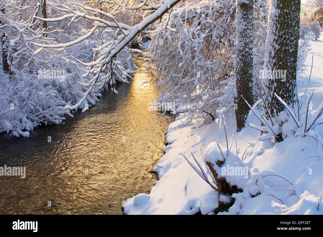 Michigan creek hi-res stock photography and images - Alamy