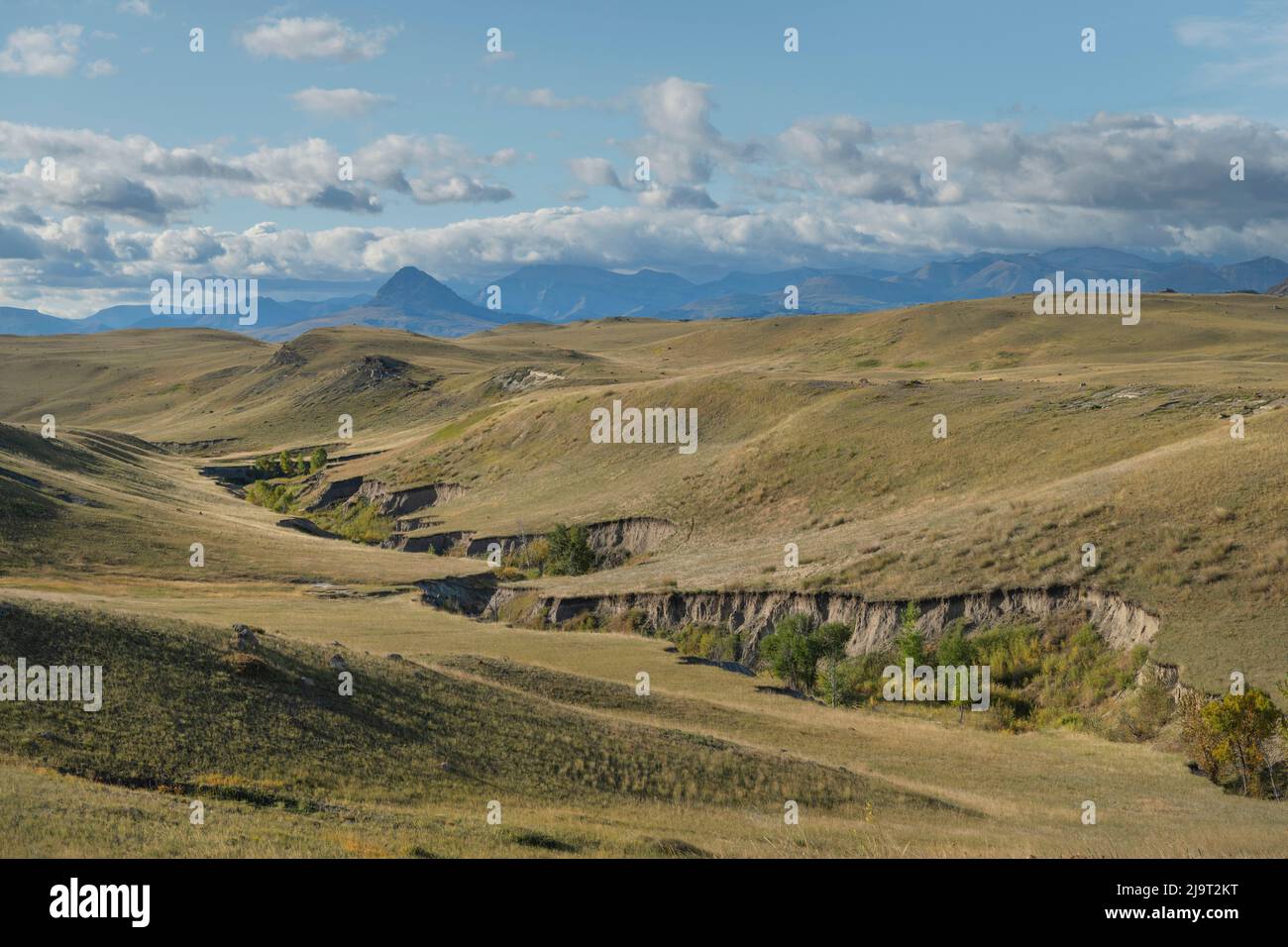 Outdoor wildlife management hi-res stock photography and images - Alamy