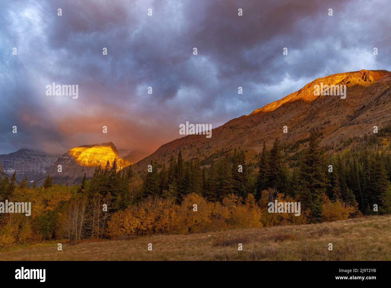 Shoulder of Mount Cleveland bathed in golden sunrise light in Glacier