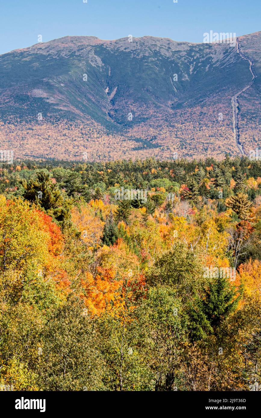 USA, New Hampshire, fall foliage of Mt. Washington seen from Bretton