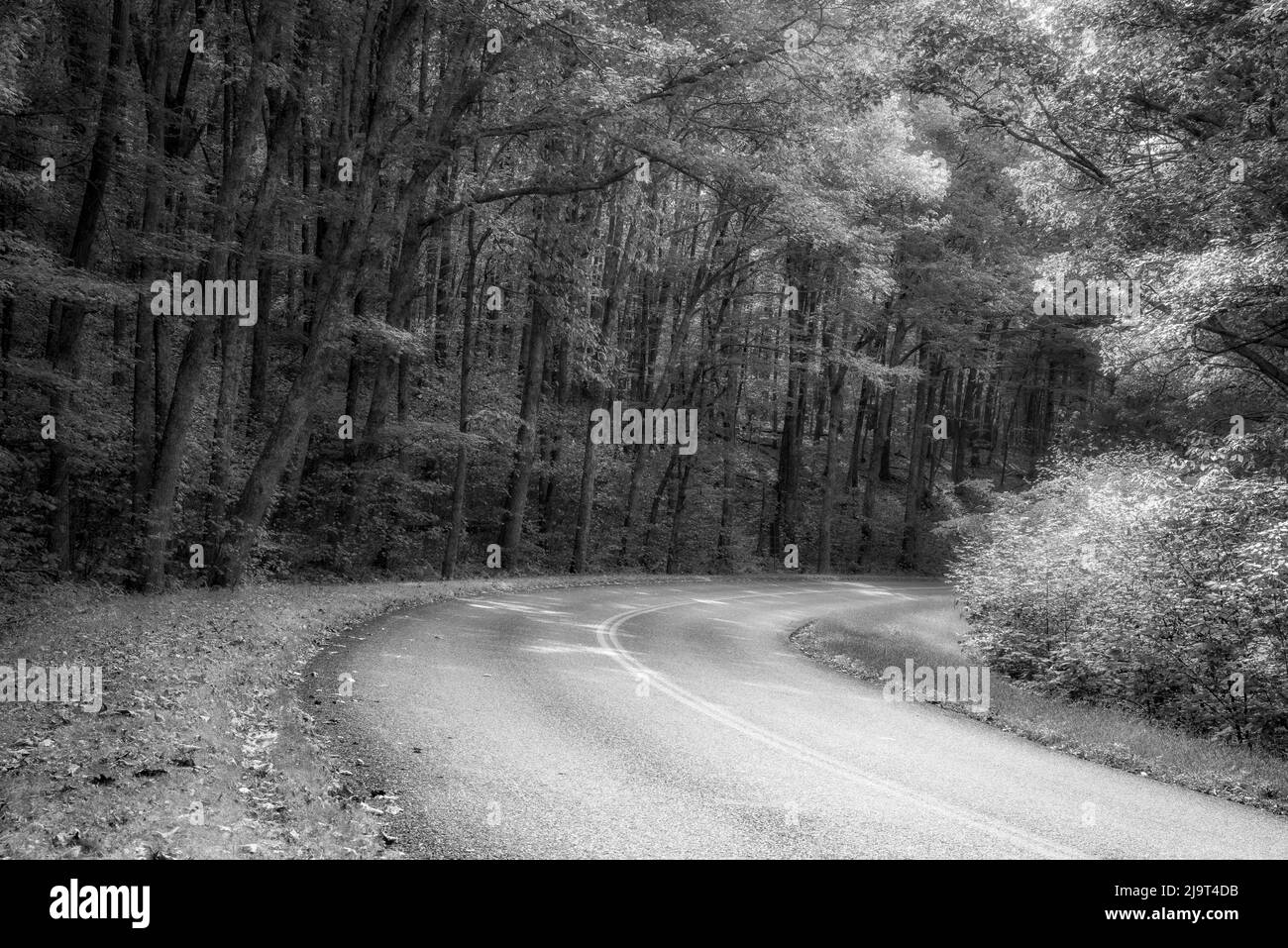 Roadway, Blue Ridge Parkway, Smoky Mountains, USA Stock Photo Alamy