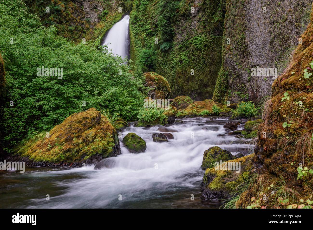 Wahclella Falls Along Tanner Creek Columbia River Gorge Oregon Stock 
