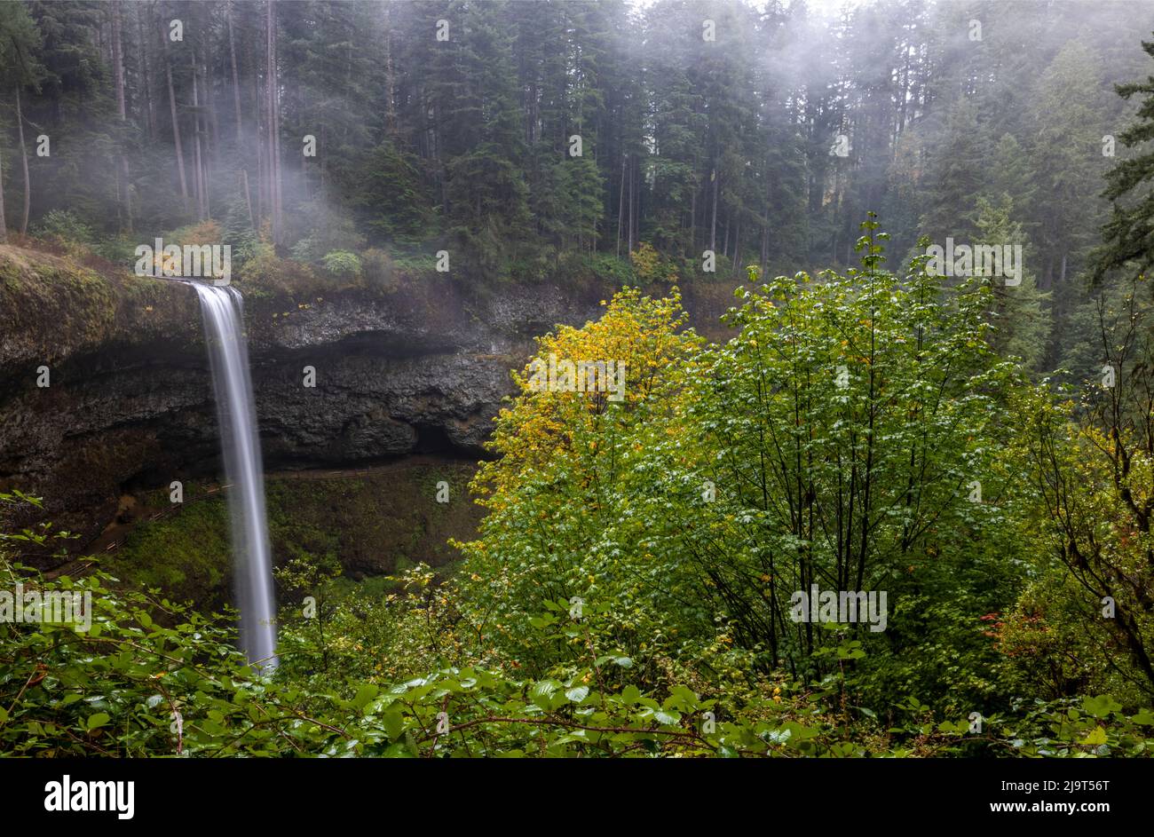 South Falls at Silver Falls State Park near Sublimity, Oregon, USA