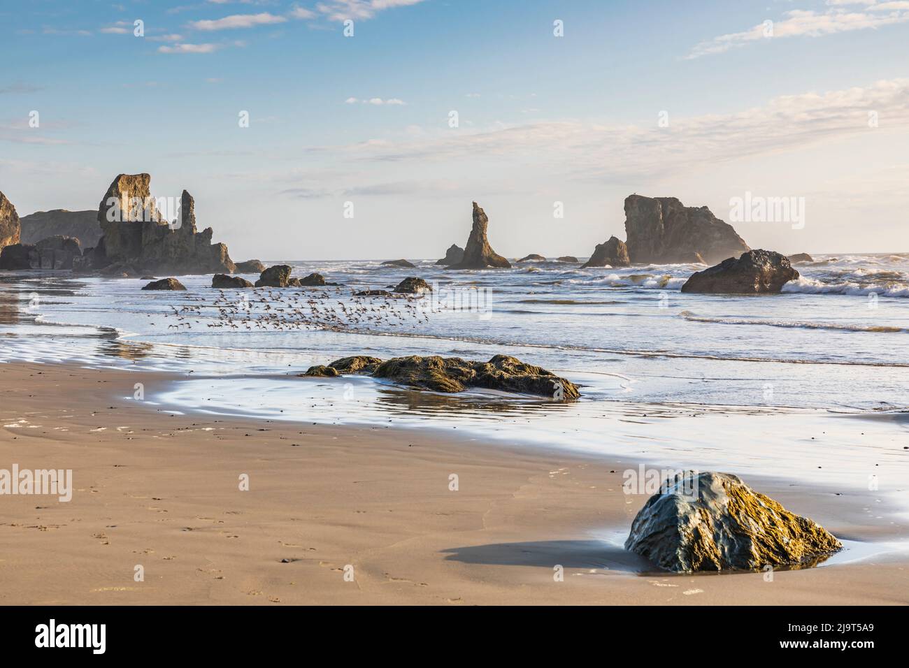 Bandon, Oregon, USA. Sea stacks and surf on Bandon Beach on the Oregon ...