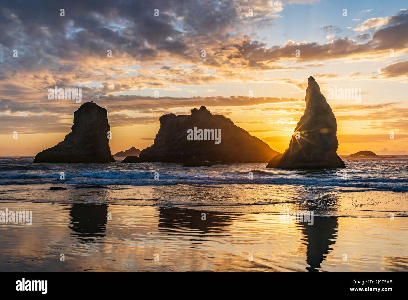 Escape to the Oregon Coast: Bandon By The Sea RV Park - Your Coastal Getaway Awaits!
