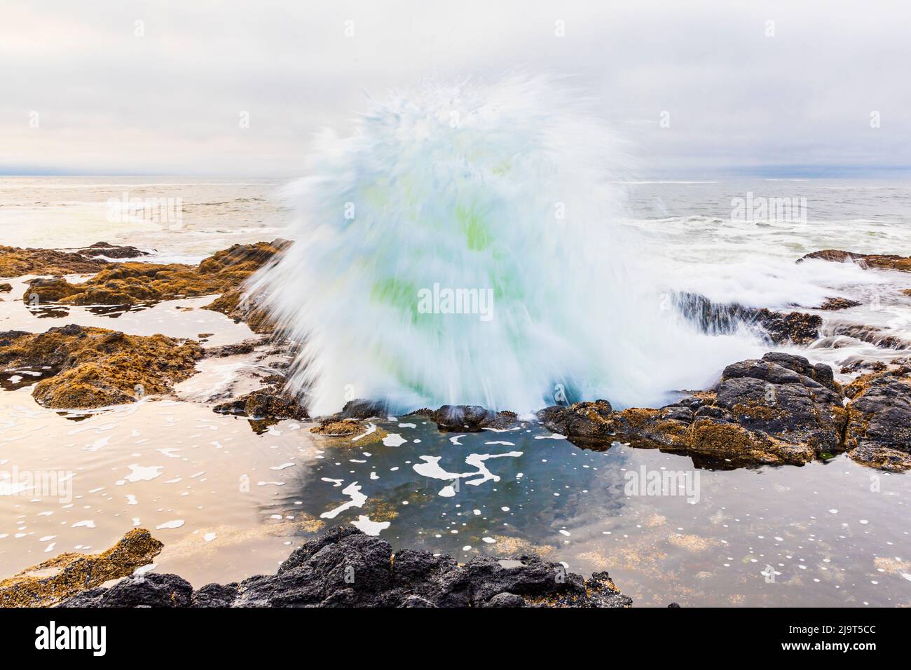 Yachats Oregon USA Thor s Well On The Oregon Coast Stock Photo Alamy yachats-oregon-usa-thor-s-well-on-the-oregon-coast-stock-photo-alamy