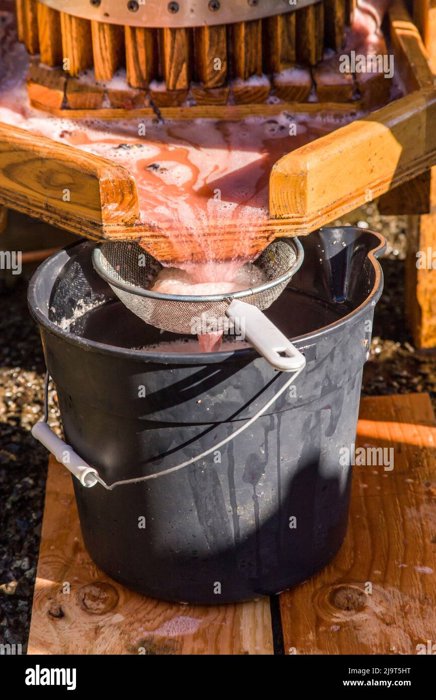Cider Pooring Machine Automated press hi-res stock photography and images - Alamy