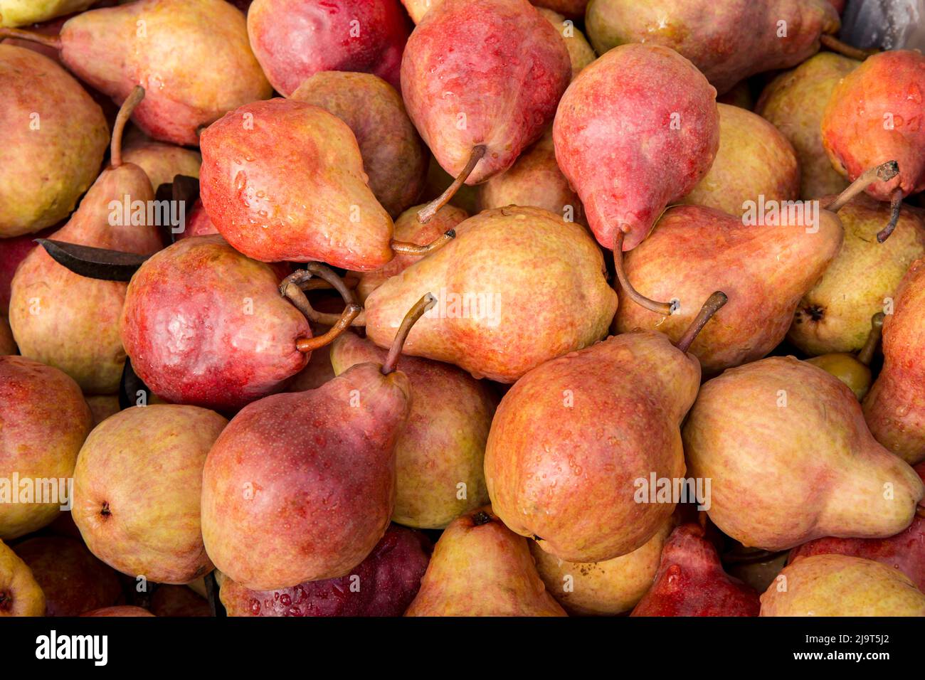 Hood River, Oregon, USA. Red Bartlett pears for sale at a fruit stand. Stock Photo