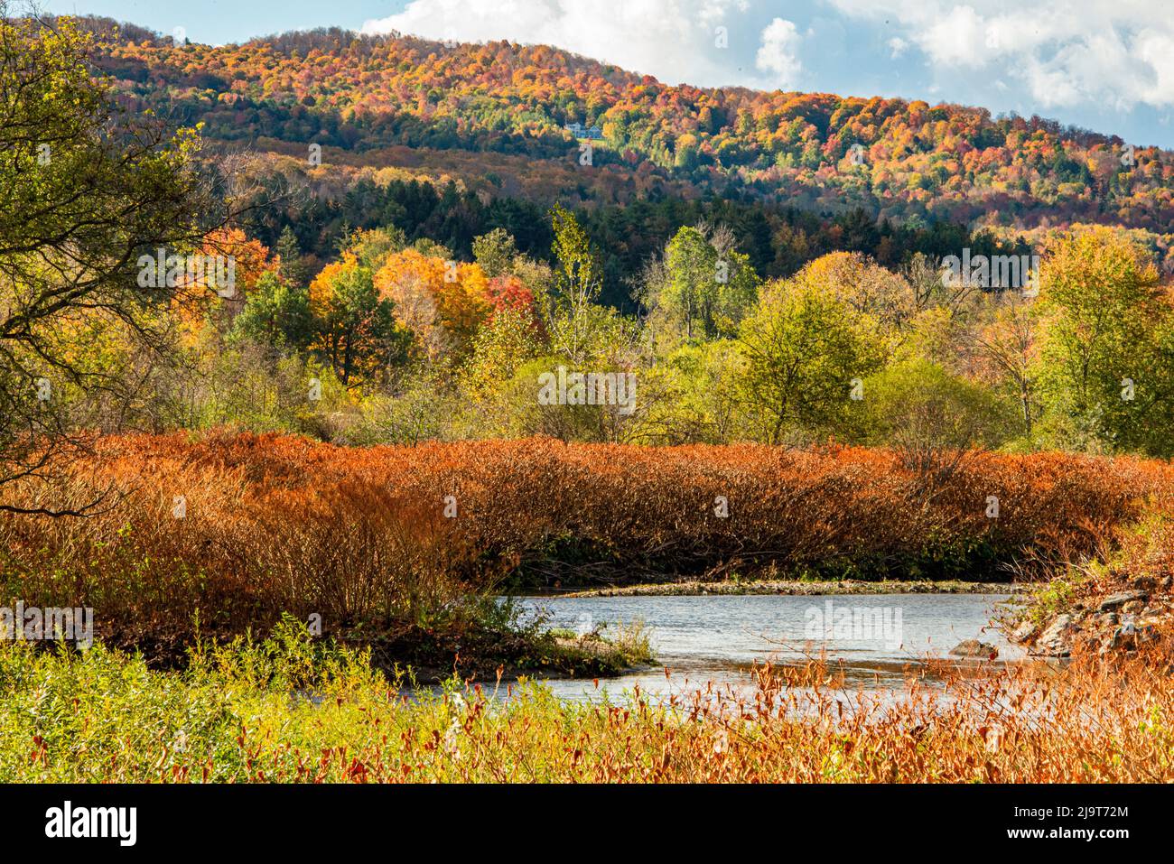 USA, Vermont, Stowe. Fall foliage along Little River Stock Photo Alamy