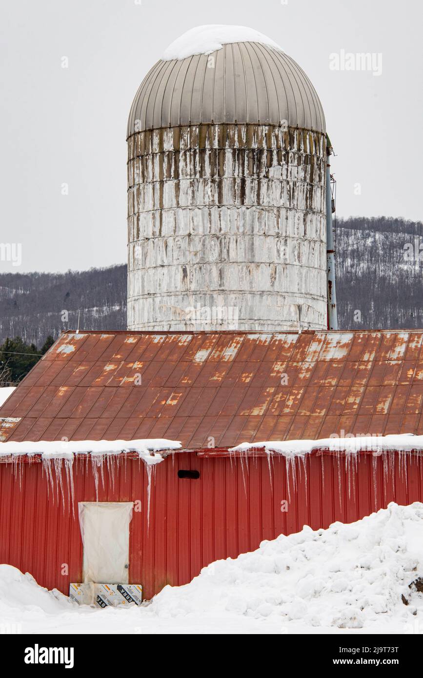 USA, Vermont, Cambridge, Valley Dream Farm at corner of Irish