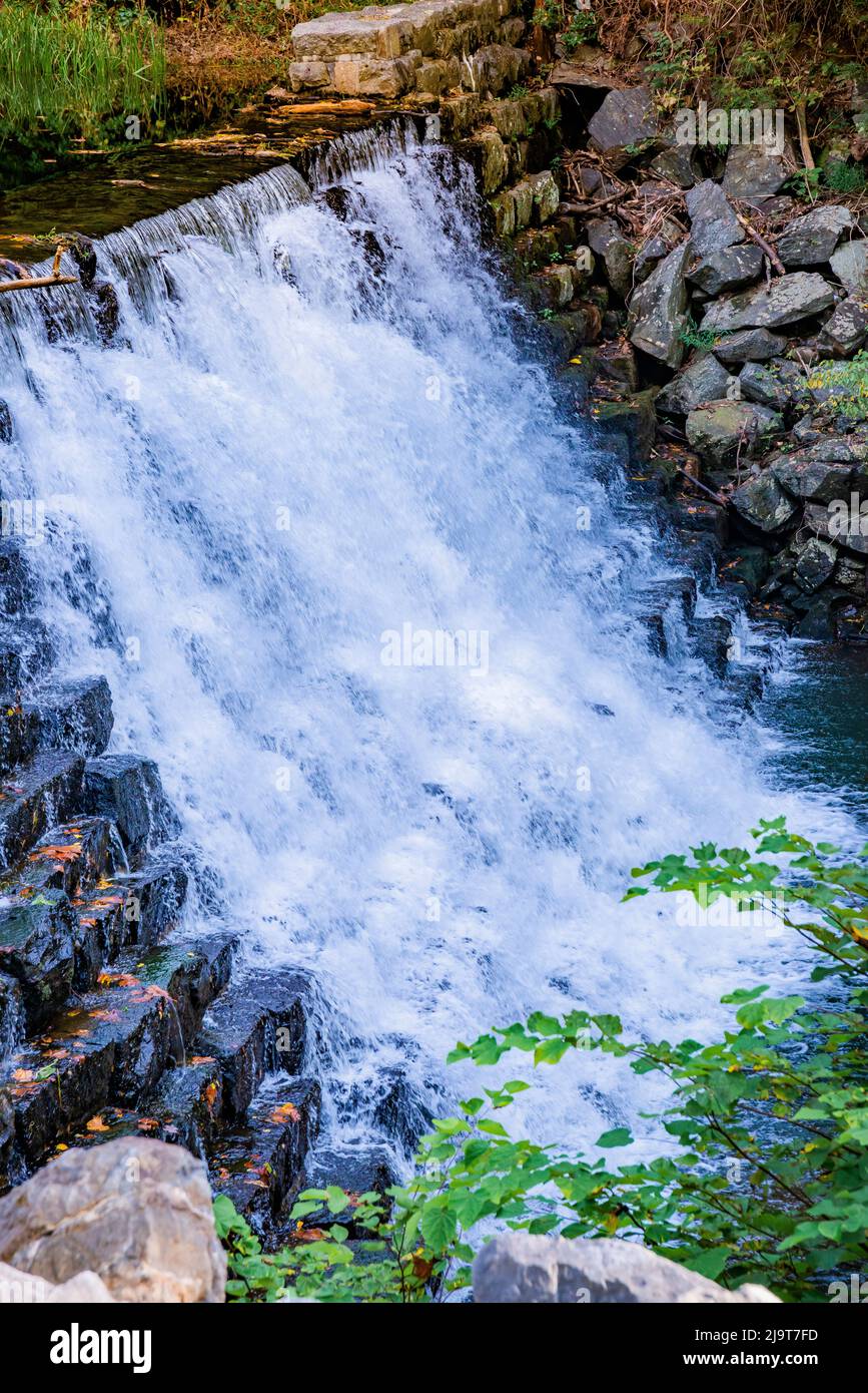 Otter falls hires stock photography and images Alamy