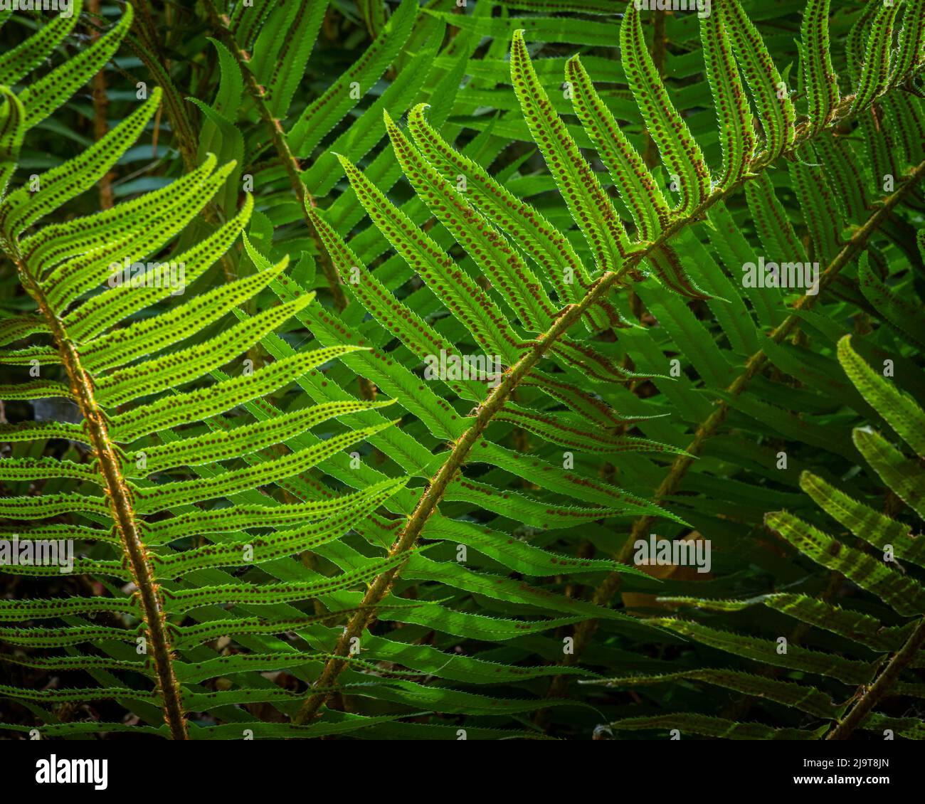 Anderson landing county park hi-res stock photography and images - Alamy