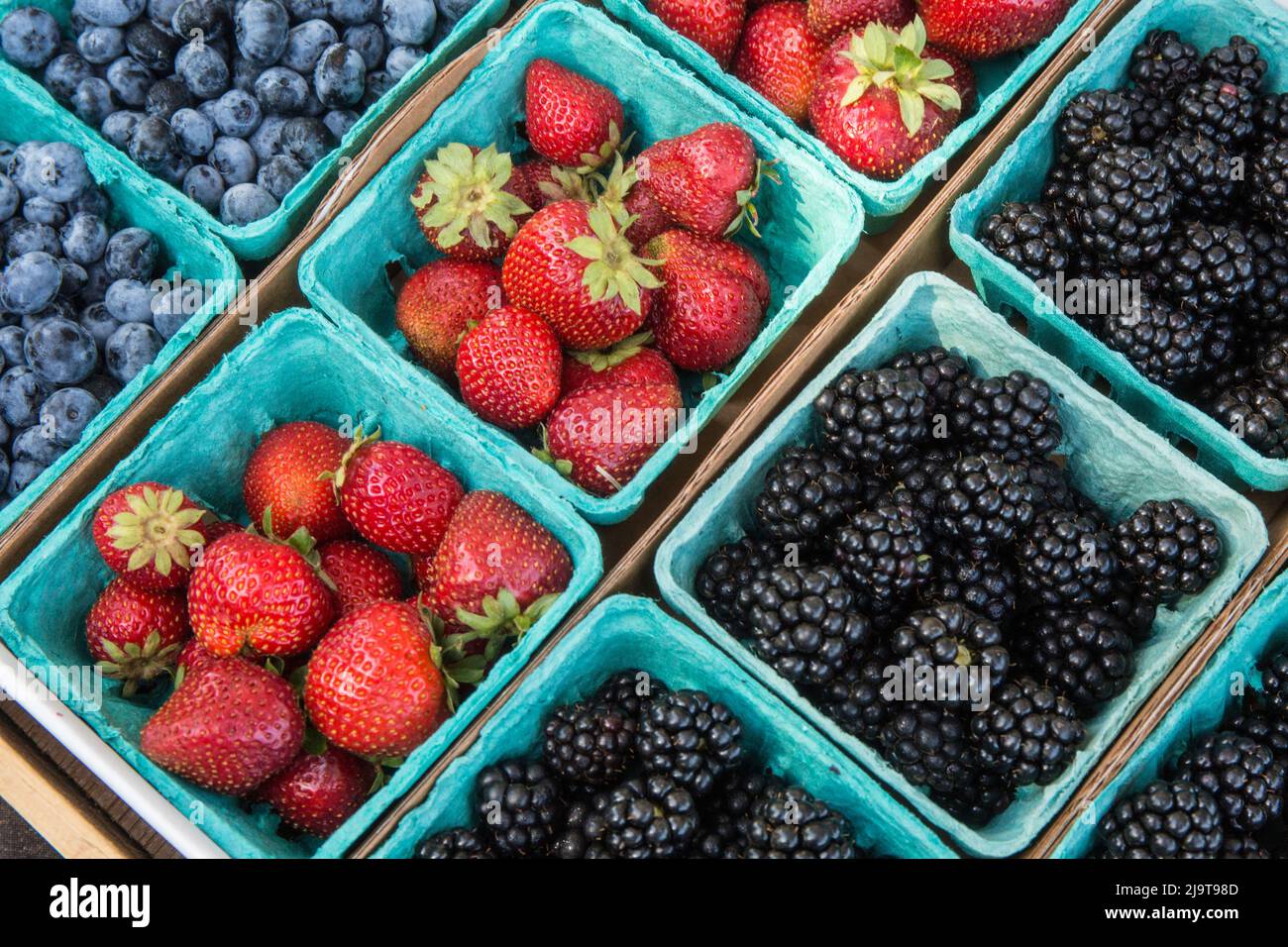 Issaquah, Washington State, USA. Pints of freshly harvested strawberries, blueberries and blackberries for sale at a Farmer's Market. Stock Photo