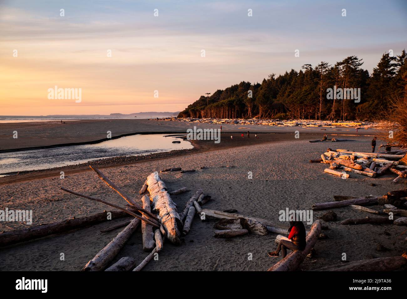 Kalaloch beach olympic national park hi-res stock photography and ...