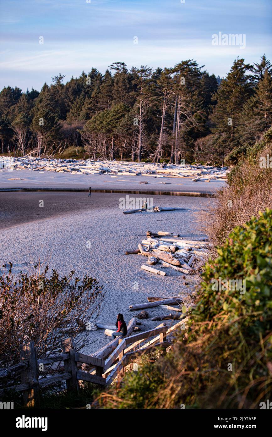 Kalaloch Beach, Olympic National Park, Forks, Washington State Stock Photo Alamy