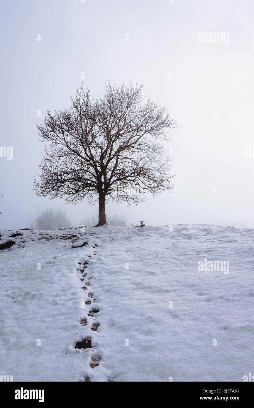 snow in the mountain in winter season, Bilbao, Spain Stock Photo Alamy