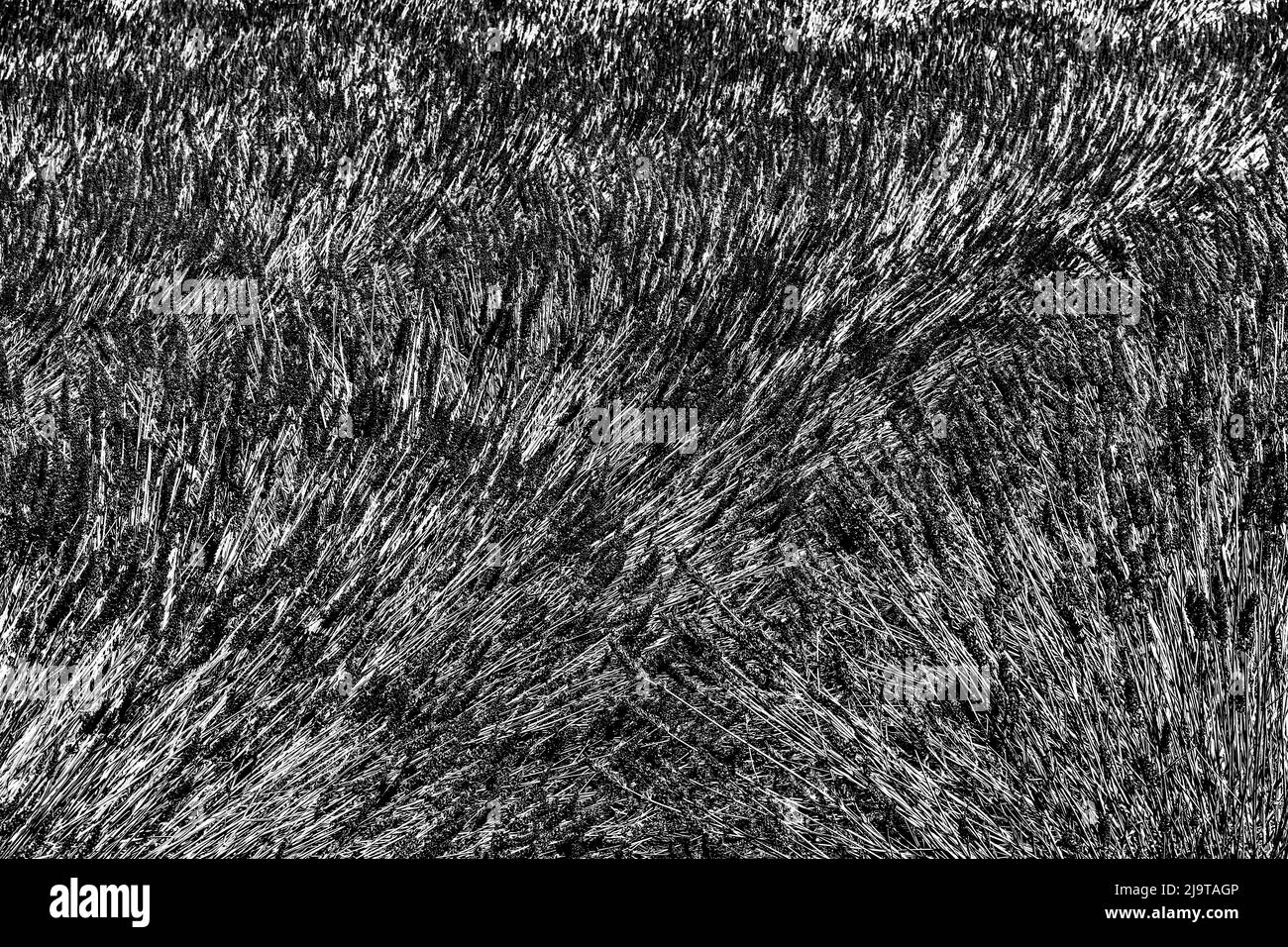 Abstract pattern, Washington State Stock Photo