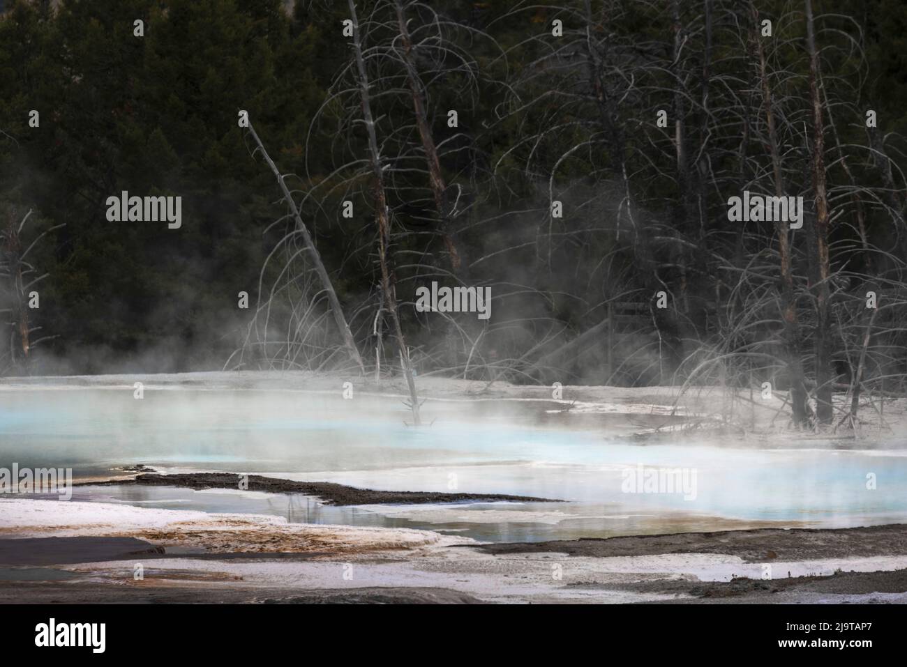 Colorful hot spring on top of Canary Spring, Mammoth Hot Springs, Yellowstone National Park, Wyoming Stock Photo