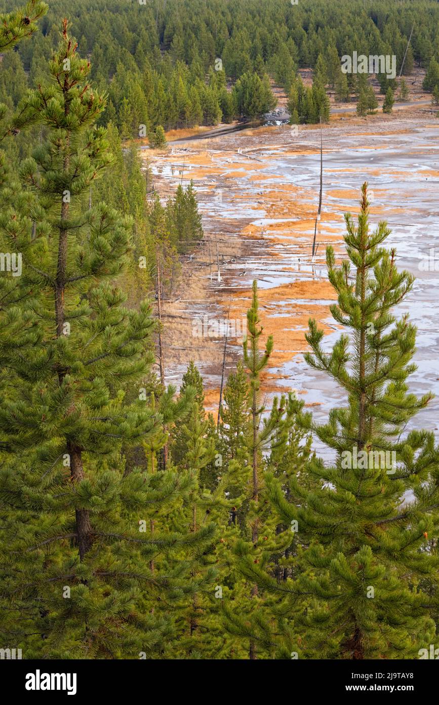 Elevated view of runoff water and bacterial mat, Grand Prismatic spring and colorful bacterial mat, Yellowstone National Park, Wyoming Stock Photo