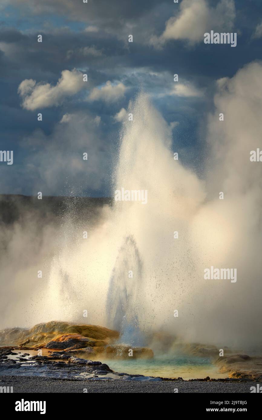 Clepsydra Geyser along the Fountain Paint Pot Trail, Yellowstone National Park. Stock Photo