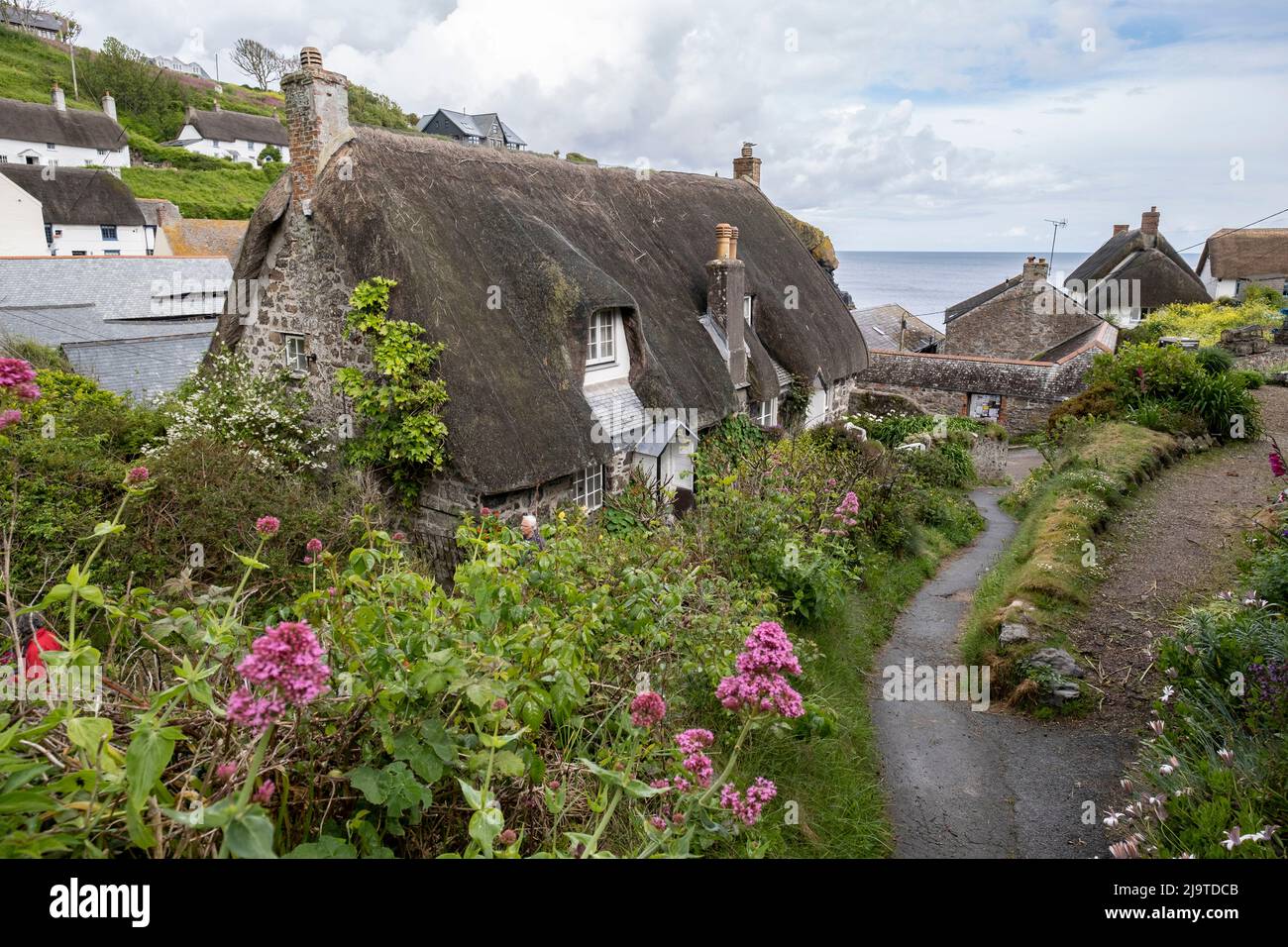 A view of the beautiful seaside village of Cadgwith, Cornwall, England. Stock Photo