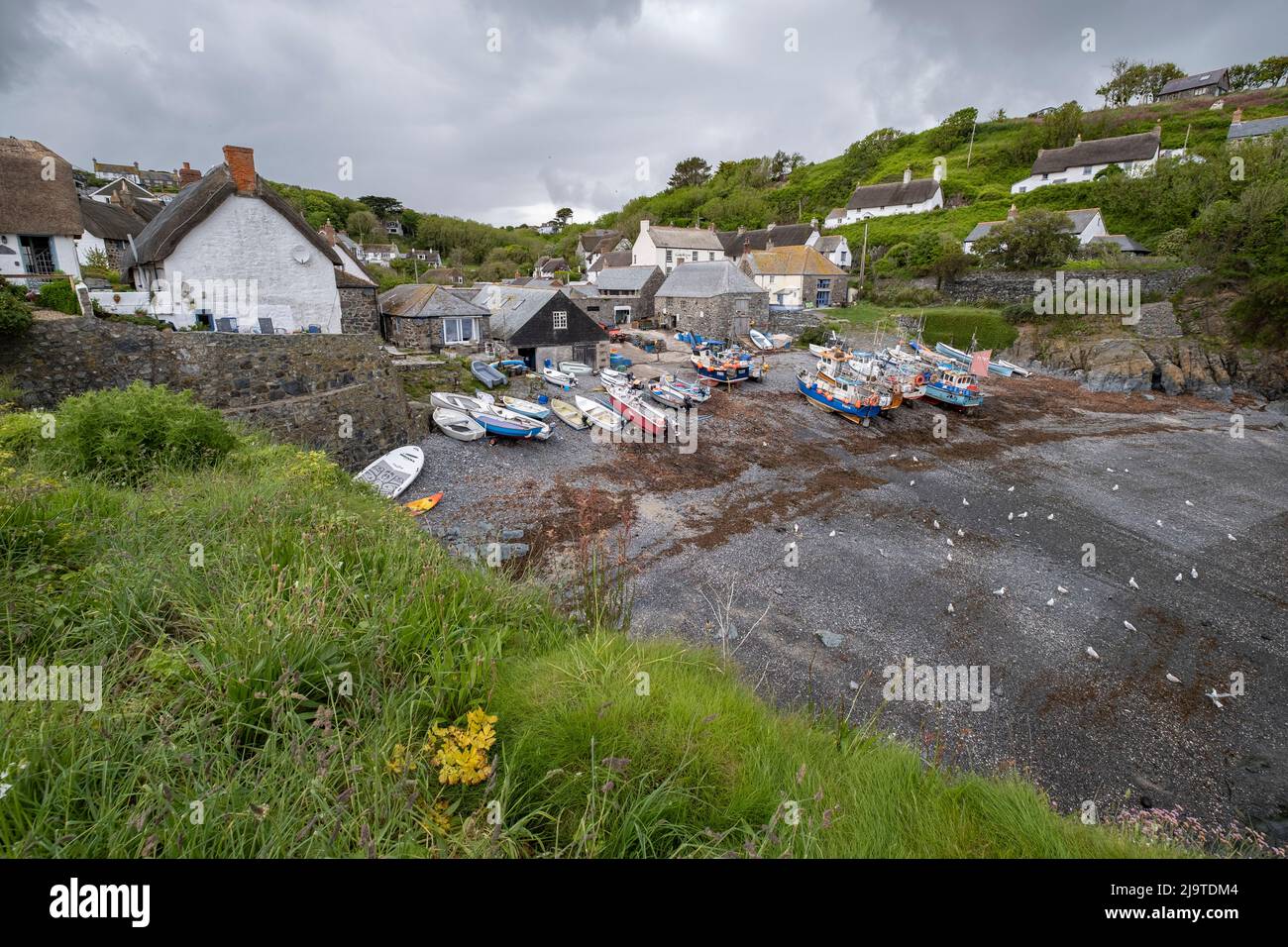 The picturesque fishing village of Cadgwith in Cornwall, ENgland with rows of boats moored in the harbour. Stock Photo