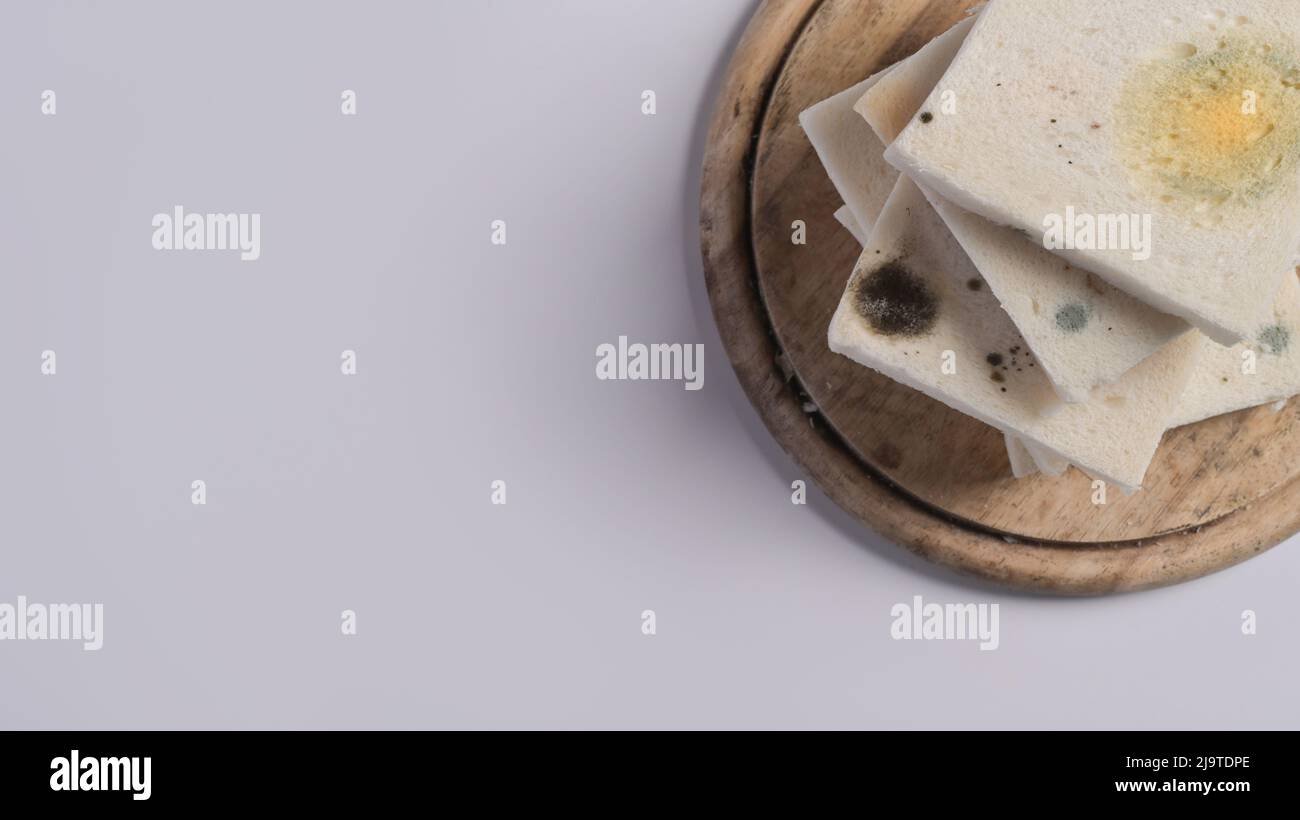 Mold growing rapidly on moldy bread in green and white spores on wooden