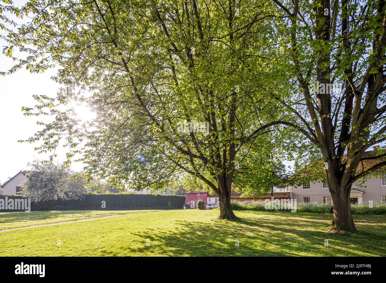 Coggeshall England UK Stock Photo Alamy