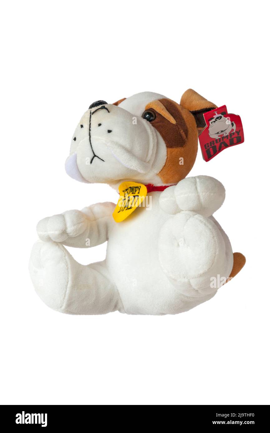 Grumpy Dad dog soft cuddly toy isolated on white background Stock Photo