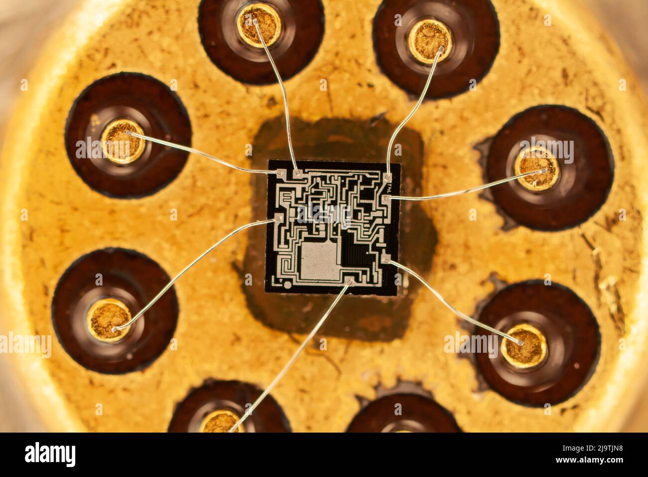 Housing with integrated circuit, light micrograph Stock Photo