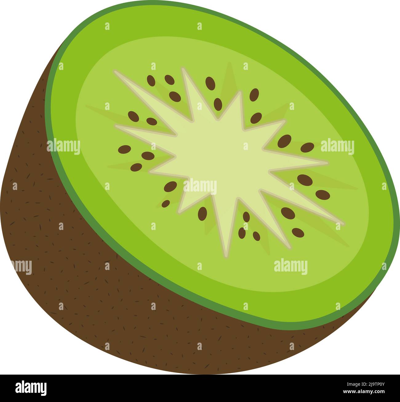 halved juicy kiwi fruit isolated on white background, flat design vector illustration Stock Vector