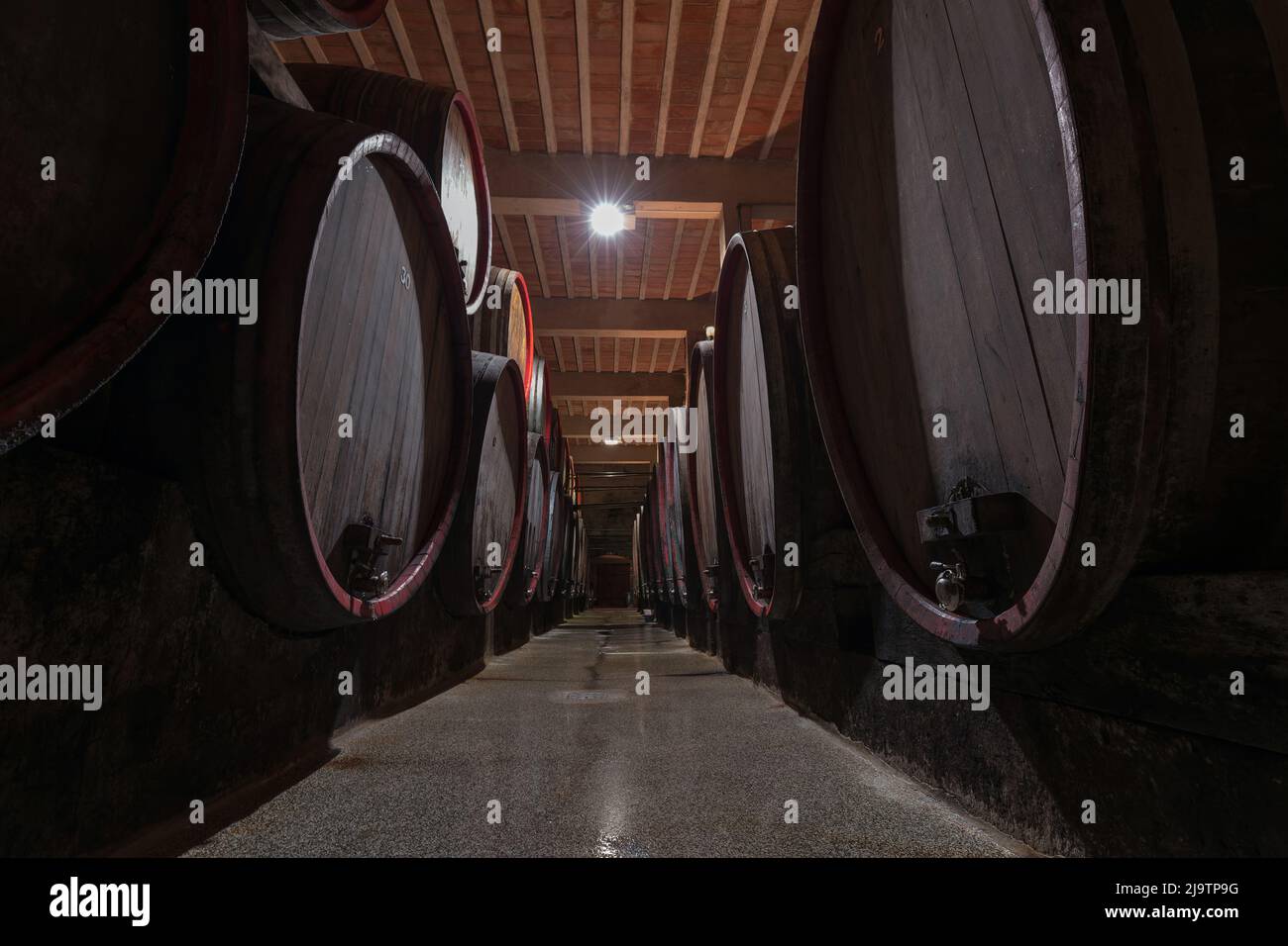 Old oak barrel rows in an authentic wine cellar of the french traditional winery Stock Photo Alamy